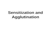 Sensitization and Agglutination