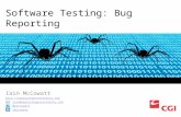 Software Testing: Bug Reporting
