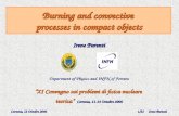 Burning and convective  processes in compact objects