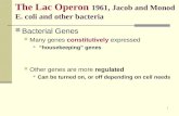 The Lac Operon 1961 ,  Jacob and Monod E. coli and other bacteria