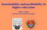 Sustainability and profitability in higher education