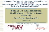 Module 3: Environmental Challenges – Pulp & Paper Industry Caroline Gaudreault Created at: