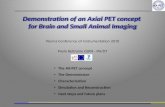 Demonstration of an Axial PET concept  for Brain and Small Animal Imaging