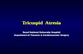Tricuspid  Atresia