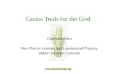 Cactus Tools for the Grid