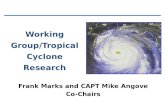 Working Group/Tropical Cyclone Research