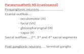 Parasympathetic NS (craniosacral) Preganglionic neurons ………………………. Cranial outflow….
