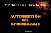 C.P Diana Lilia Gurrola Ríos