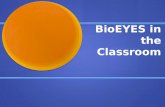 BioEYES  in the Classroom