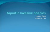 Aquatic Invasive Species