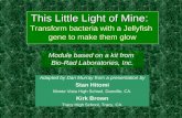 This Little Light of Mine: Transform bacteria with a Jellyfish  gene to make them glow