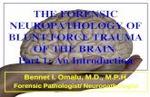 THE FORENSIC NEUROPATHOLOGY OF BLUNT FORCE TRAUMA OF THE BRAIN  Part 1: An Introduction