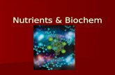 Nutrients & Biochem