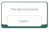 The Macronutrients