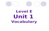 Level E Unit 1 Vocabulary