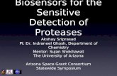 Engineering Biosensors for the Sensitive Detection of Proteases