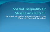 Spatial Inequality Of Mexico and Detroit