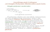 Swelling and Collapse  of Single Polymer Molecules and Gels