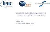 BUILDING BLOCKS  designed  at IPHC in TOWER JAZZ CMOS  I mage  Sensor  0.18 µm  process