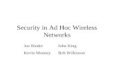 Security in Ad Hoc Wireless Networks