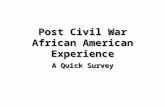 Post Civil War African American Experience