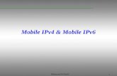 Mobile IPv4 & Mobile IPv6