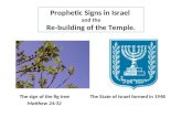 Prophetic Signs in Israel  and the Re-building of the Temple.