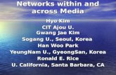 Networks within and across Media