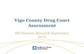 Vigo County Drug Court Assessment