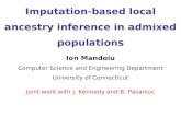 Imputation-based local ancestry inference in admixed populations