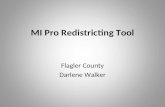 MI Pro Redistricting Tool