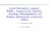 Link/Network Layer: MIMO, Cognitive Radio;  Energy Management of Radio Resource Control (RRC)
