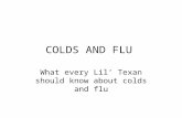 COLDS AND FLU