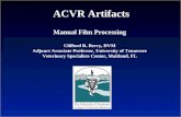 Manual Film Processing Clifford R. Berry, DVM Adjunct Associate Professor, University of Tennessee