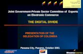 Joint Government-Private Sector Committee of  Experts on Electronic Commerce THE DIGITAL DIVIDE