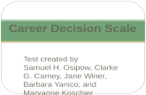 Career Decision Scale