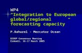 WP4 “Integration to European global/regional forecasting capacity”