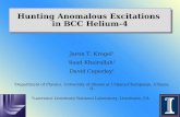 Hunting Anomalous Excitations  in BCC Helium-4