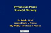 Symposium Panel: Space(s) Planning