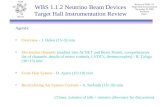 WBS 1.1.2 Neutrino Beam Devices Target Hall Instrumentation Review