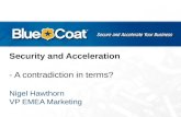 Security and Acceleration - A contradiction in terms?