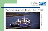 Marine Science Institute (MSI)