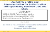 An XACML profile and implementation for Authorization Interoperability between OSG and EGEE