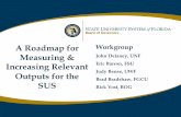 A Roadmap for Measuring & Increasing Relevant Outputs for the SUS Workgroup John Delaney, UNF