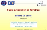 b-Jets production at Tevatron