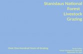Stanislaus National Forest   Livestock Grazing