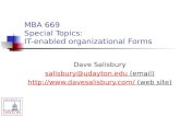 MBA 669 Special Topics:  IT-enabled organizational Forms