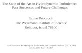 The State of the Art in Hydrodynamic Turbulence:  Past Successes and Future Challenges