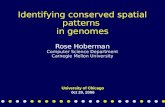 Identifying conserved spatial patterns  in genomes