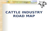 CATTLE INDUSTRY ROAD MAP